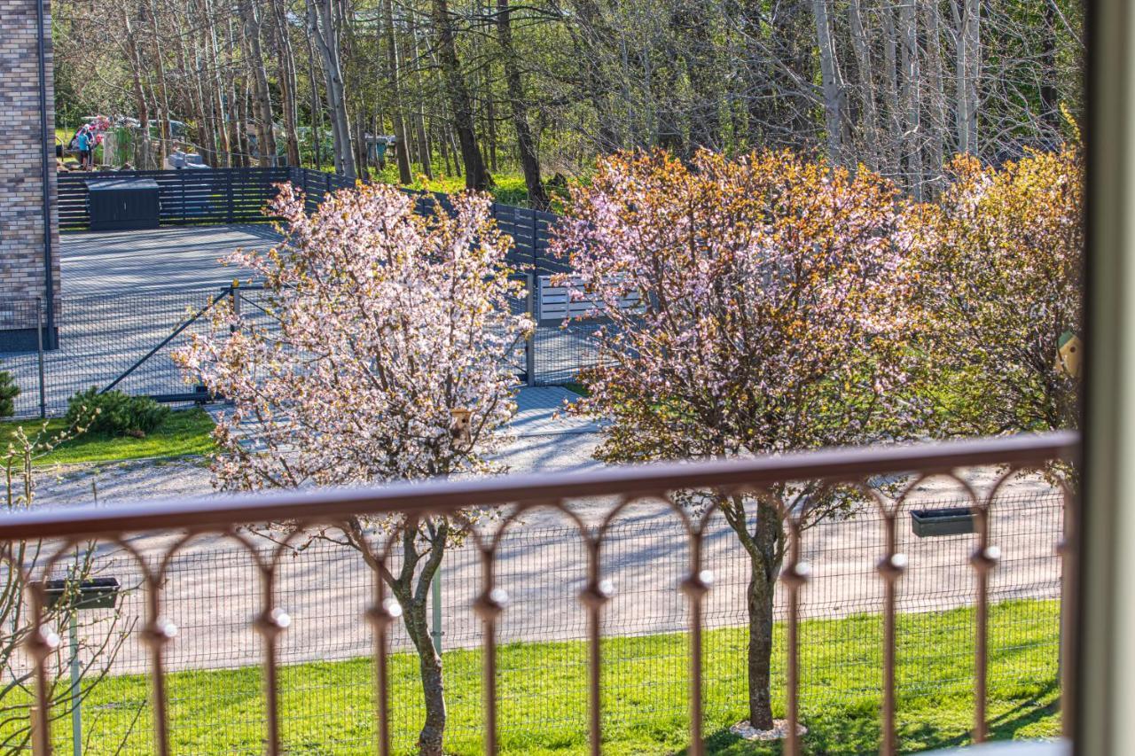 Sakura_Inn بالانغا المظهر الخارجي الصورة